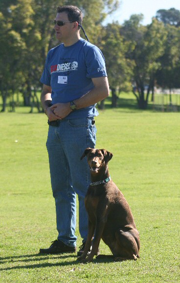 dog pic