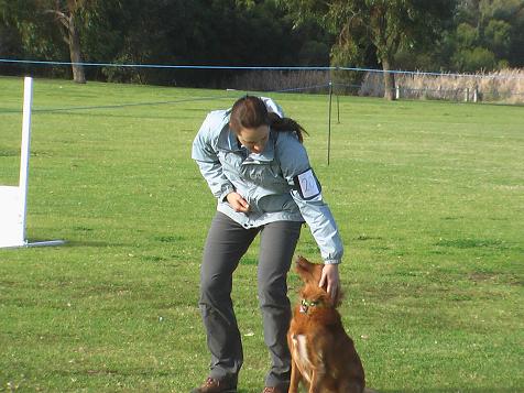 dog pic